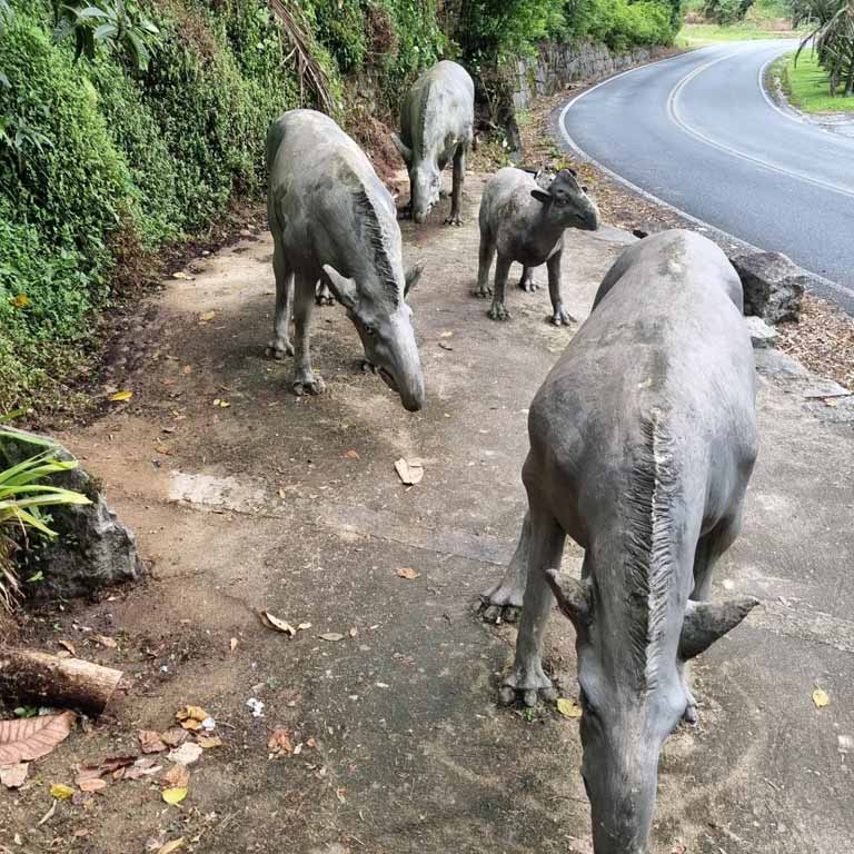 Passeio Cabe�a da Anta - Vale do Ribeira